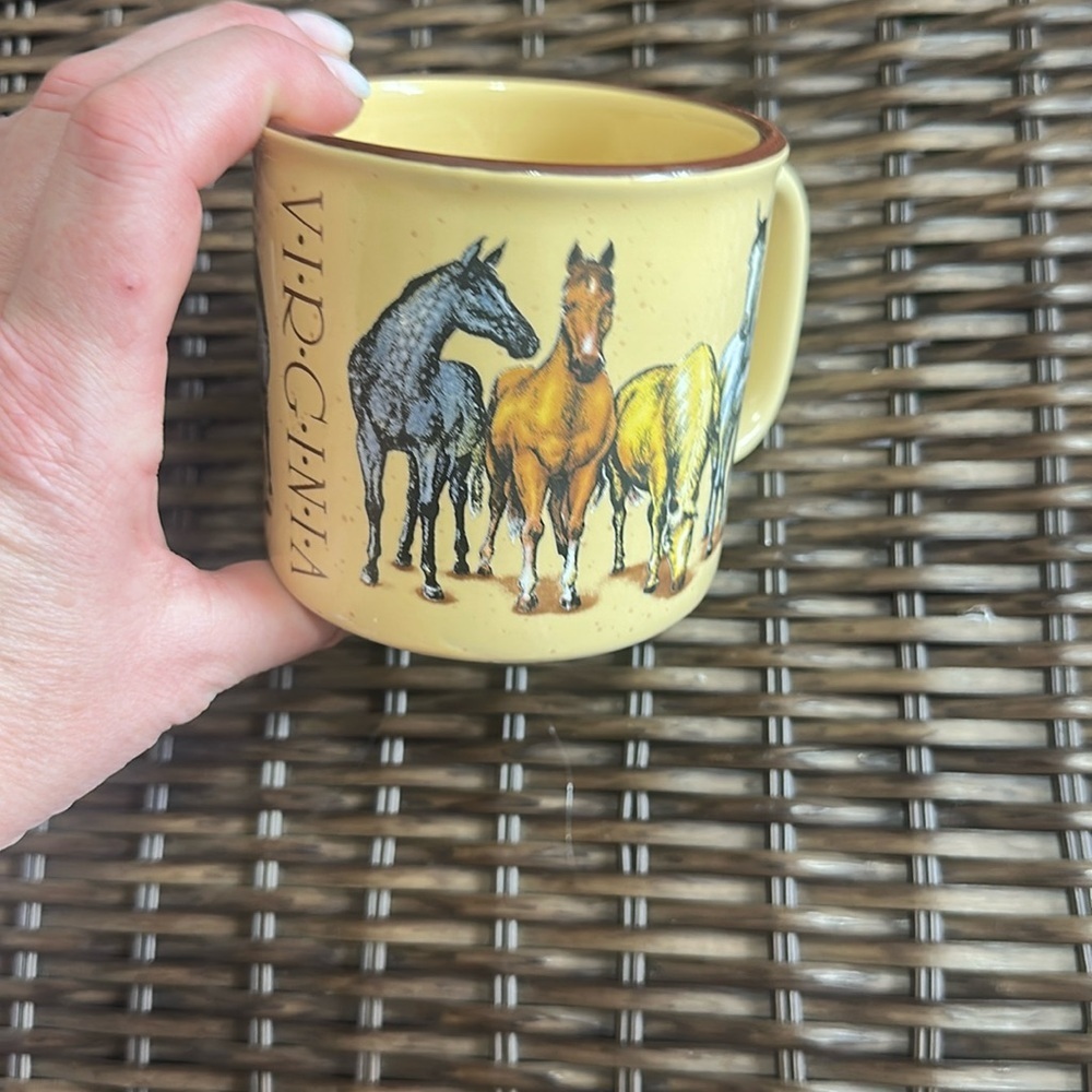 Virginia  horses front back mug, travel like to Assateague Island
